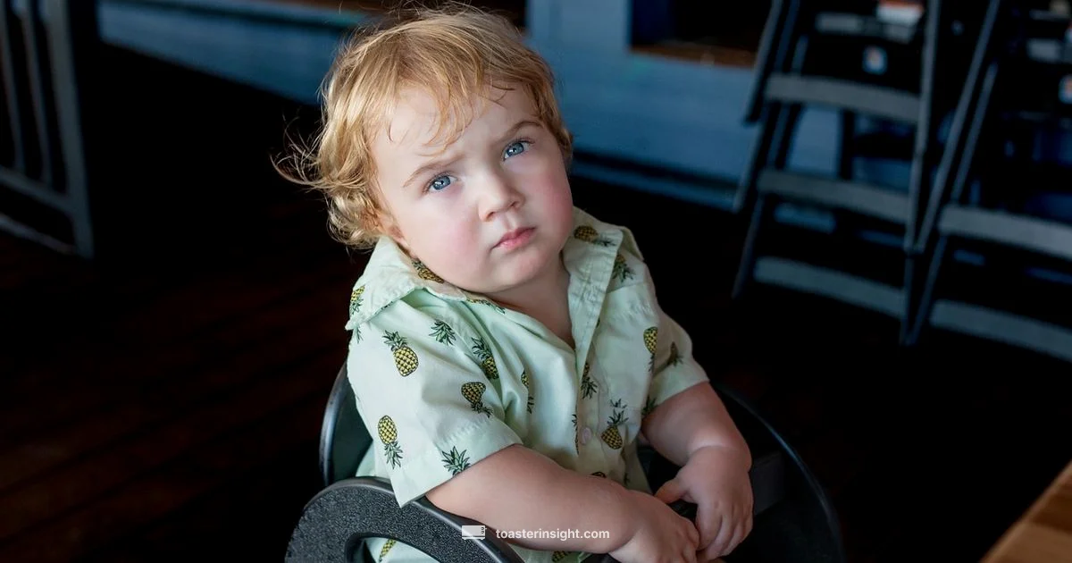 Toast vs Bread for Babies Toast vs Bread for Babies - ToasterInsight