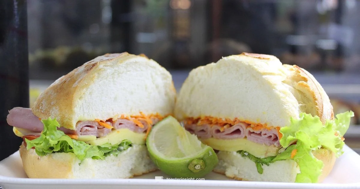 Sandwich Toaster Guide - ToasterInsight