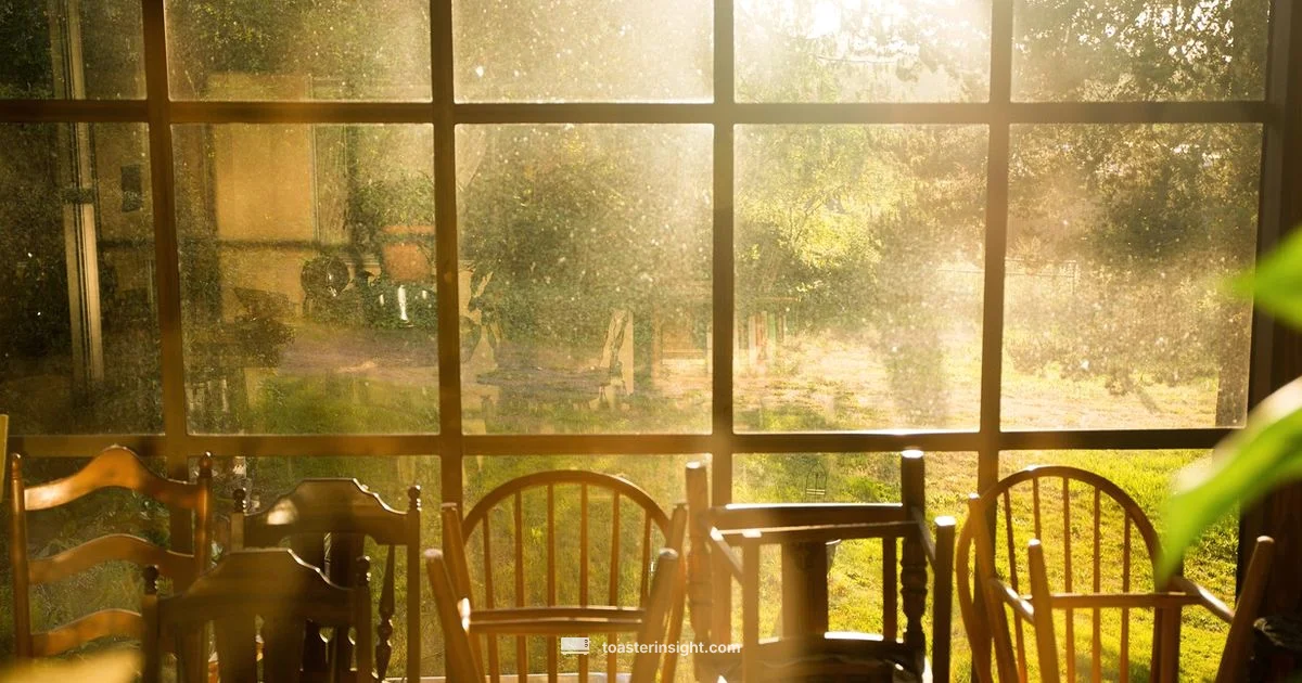 Toast Yays Guide - ToasterInsight