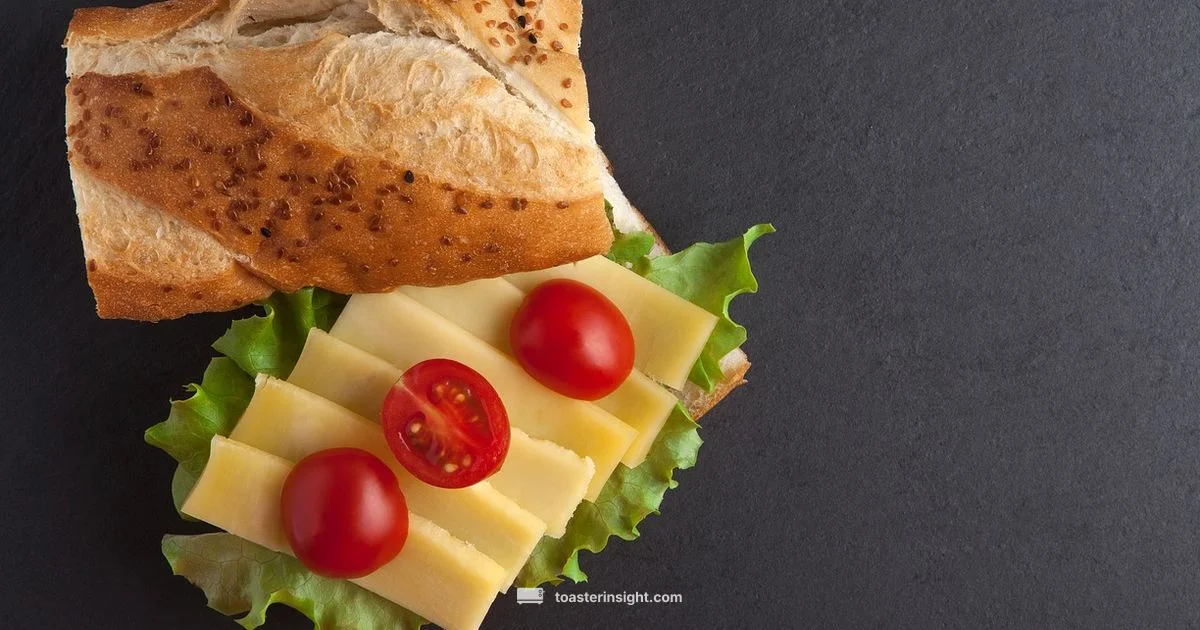 Cheese Sandwich Perfection Cheese Sandwich Perfection - ToasterInsight