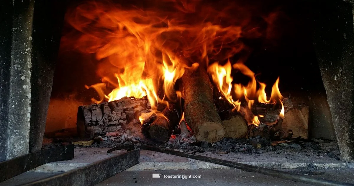 Preheating a Toaster Oven - ToasterInsight