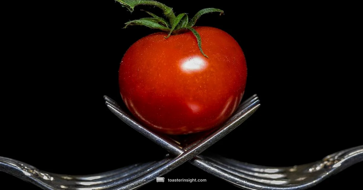 Toaster Movie Review Toaster Movie Review - ToasterInsight