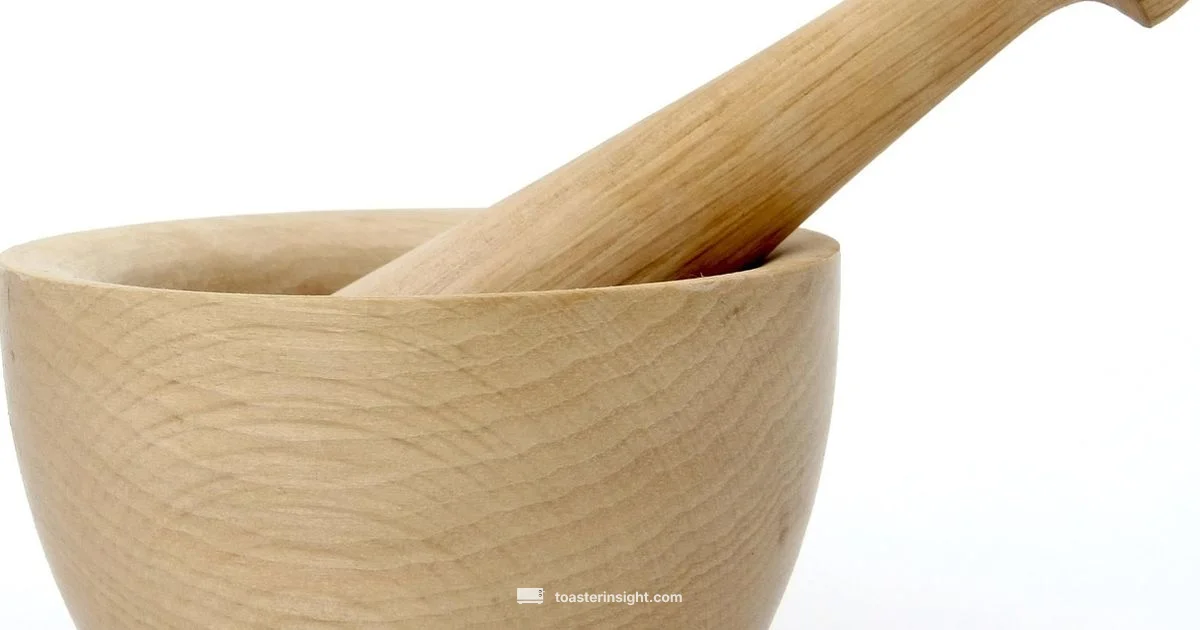 Toaster Content Guide - ToasterInsight