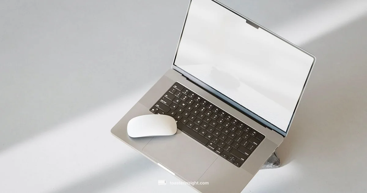 Toast Pop Ups Guide Toast Pop Ups Guide - ToasterInsight