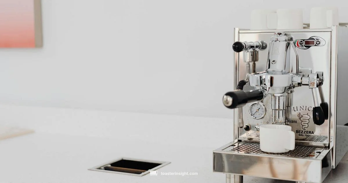 USA-Toaster Spotlight - ToasterInsight