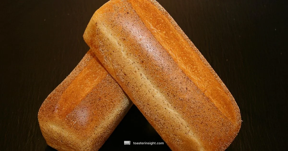 Mold and Toaster Guide Mold and Toaster Guide - ToasterInsight