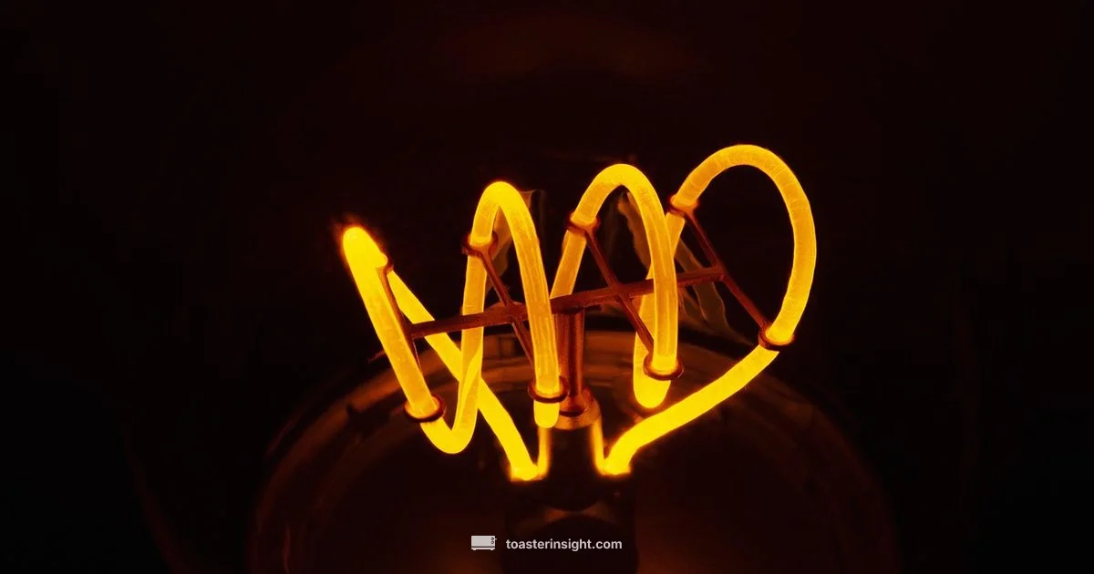 Toaster Energy Basics - ToasterInsight