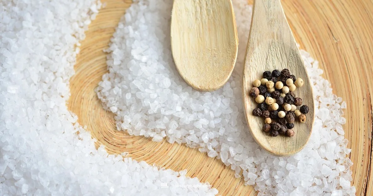 Breville Sea Salt Review - ToasterInsight