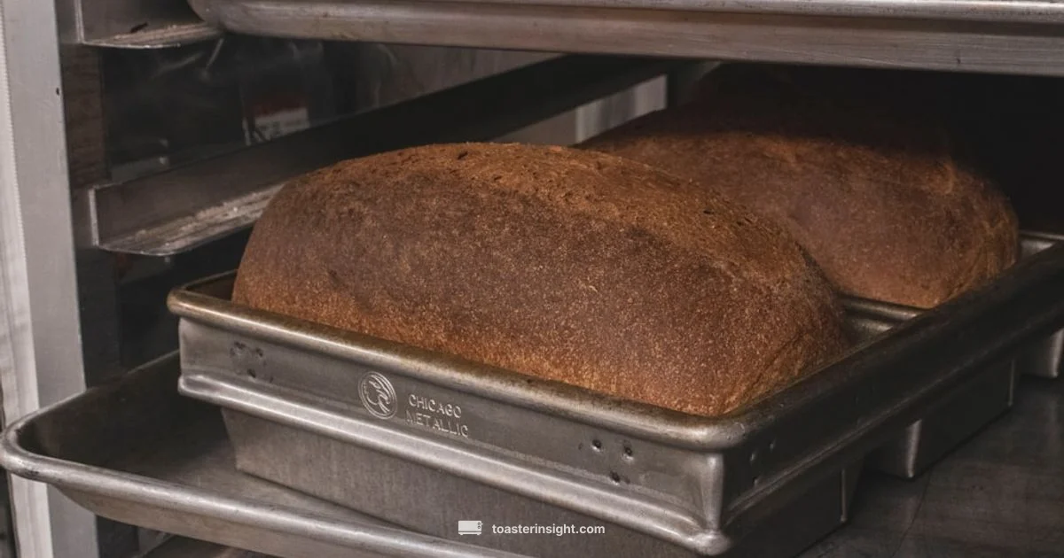 Toaster Crumb Tray Toaster Crumb Tray - ToasterInsight