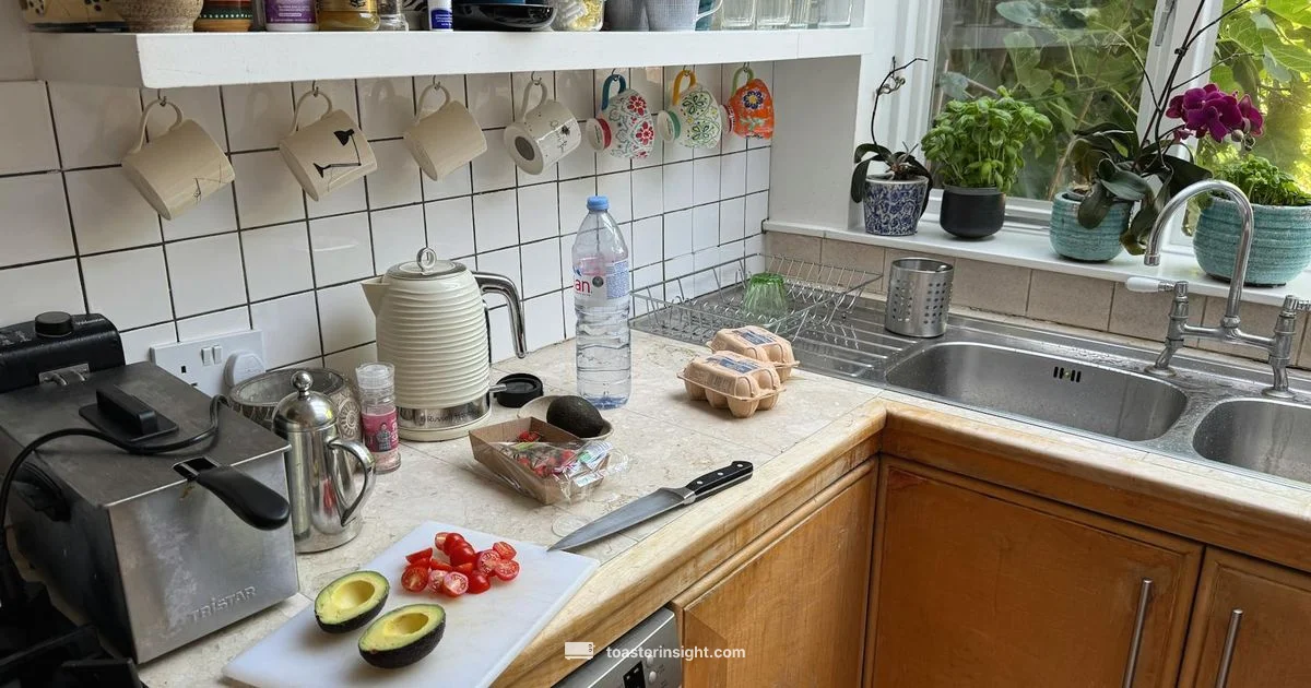 New Toaster Break-In - ToasterInsight