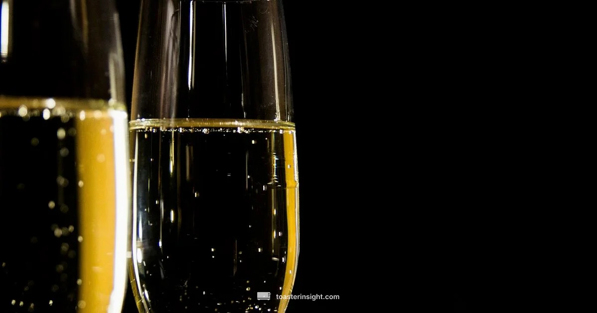 Champagne Toast Champagne Toast - ToasterInsight