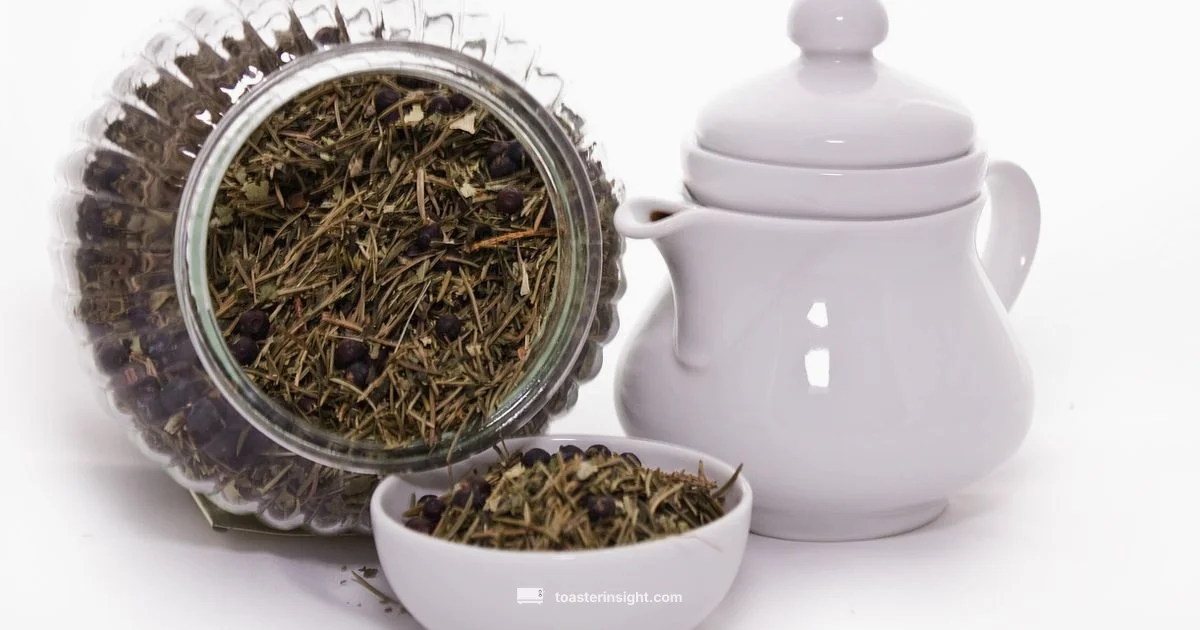 Kambrook Review 2026 - ToasterInsight