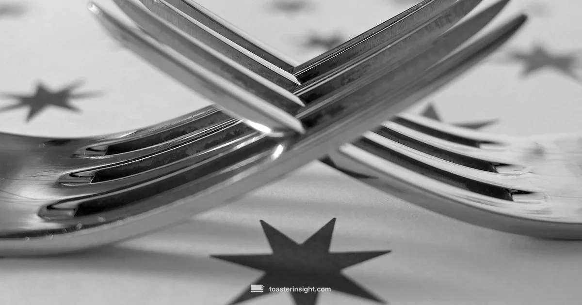 Fork in Toaster - ToasterInsight