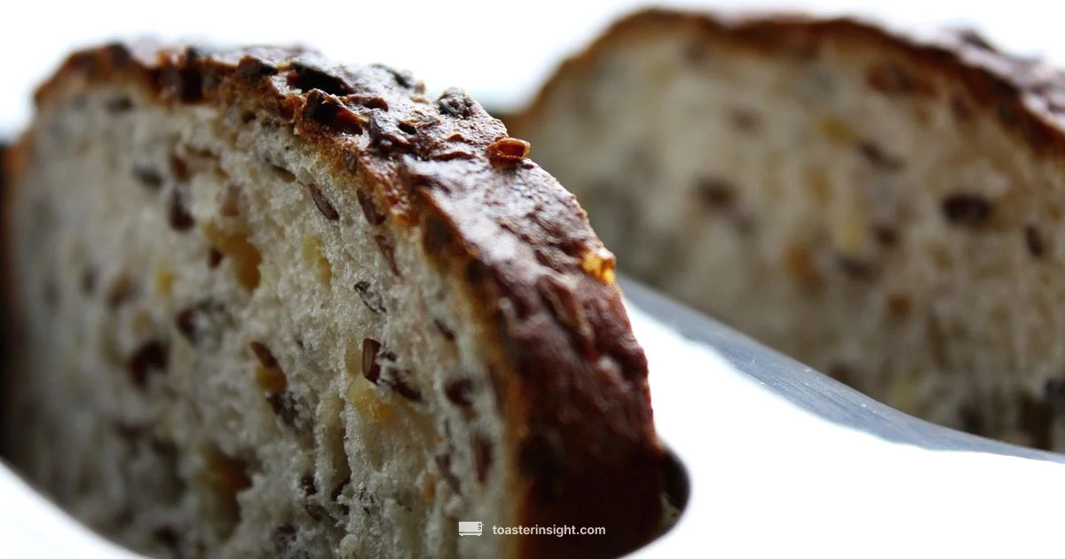 Healthy Toast Healthy Toast - ToasterInsight