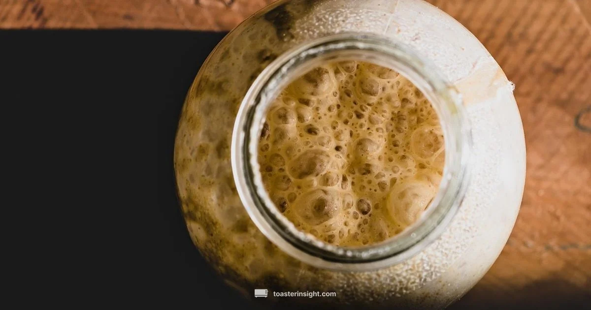 Why Toast Browns - ToasterInsight