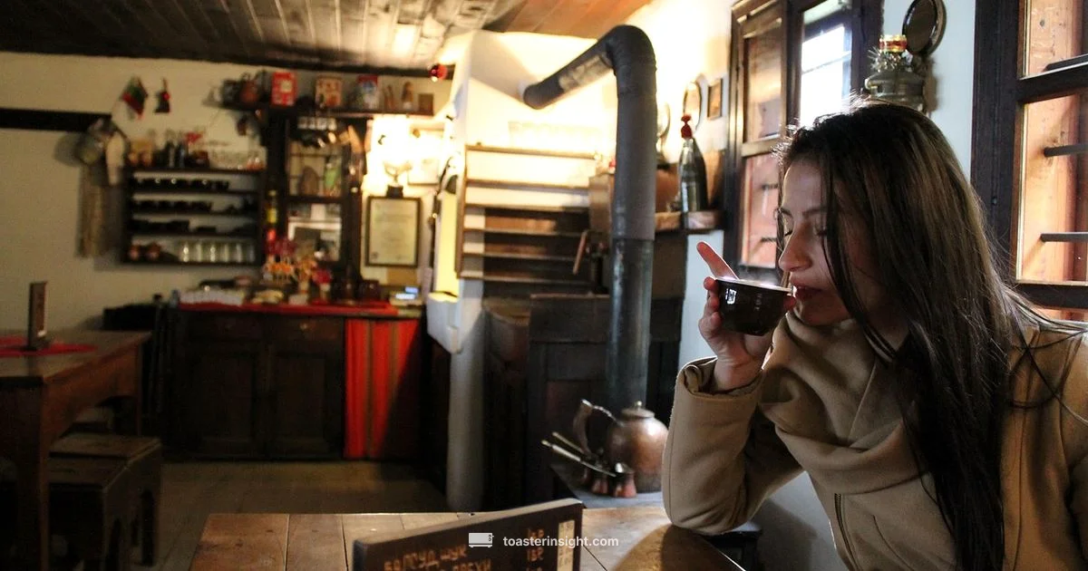 Toaster Oven History - ToasterInsight