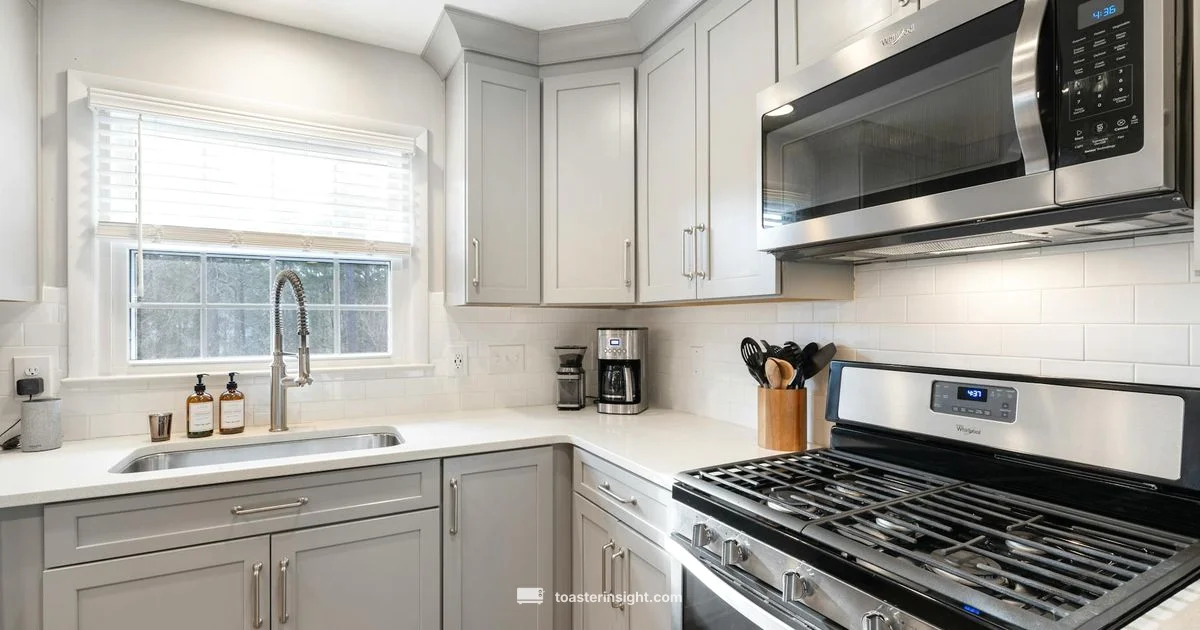 Toaster Oven Guide Toaster Oven Guide - ToasterInsight