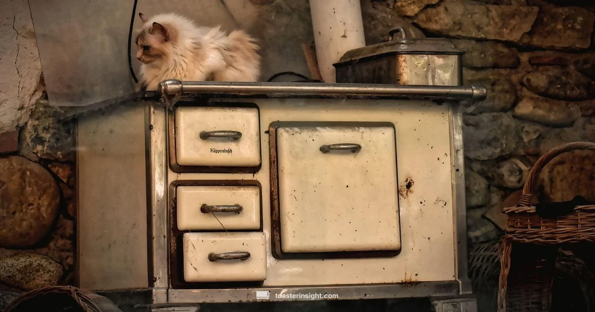 Tiny Toaster Oven Guide Tiny Toaster Oven Guide - ToasterInsight