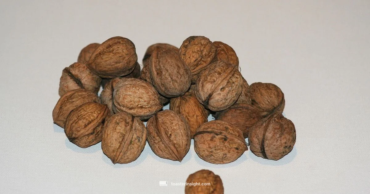 Toasting Walnuts - ToasterInsight