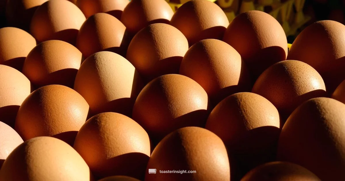 Egg Toast Precision - ToasterInsight