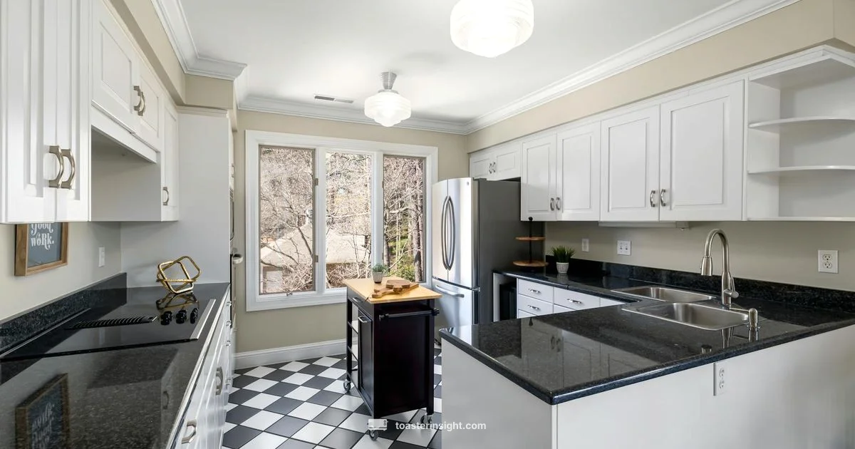 Colorful Kitchen Accent - ToasterInsight