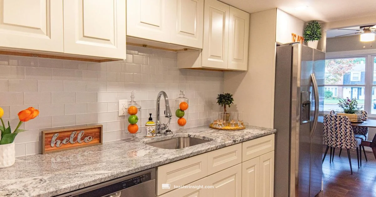 Top Toaster Picks - ToasterInsight