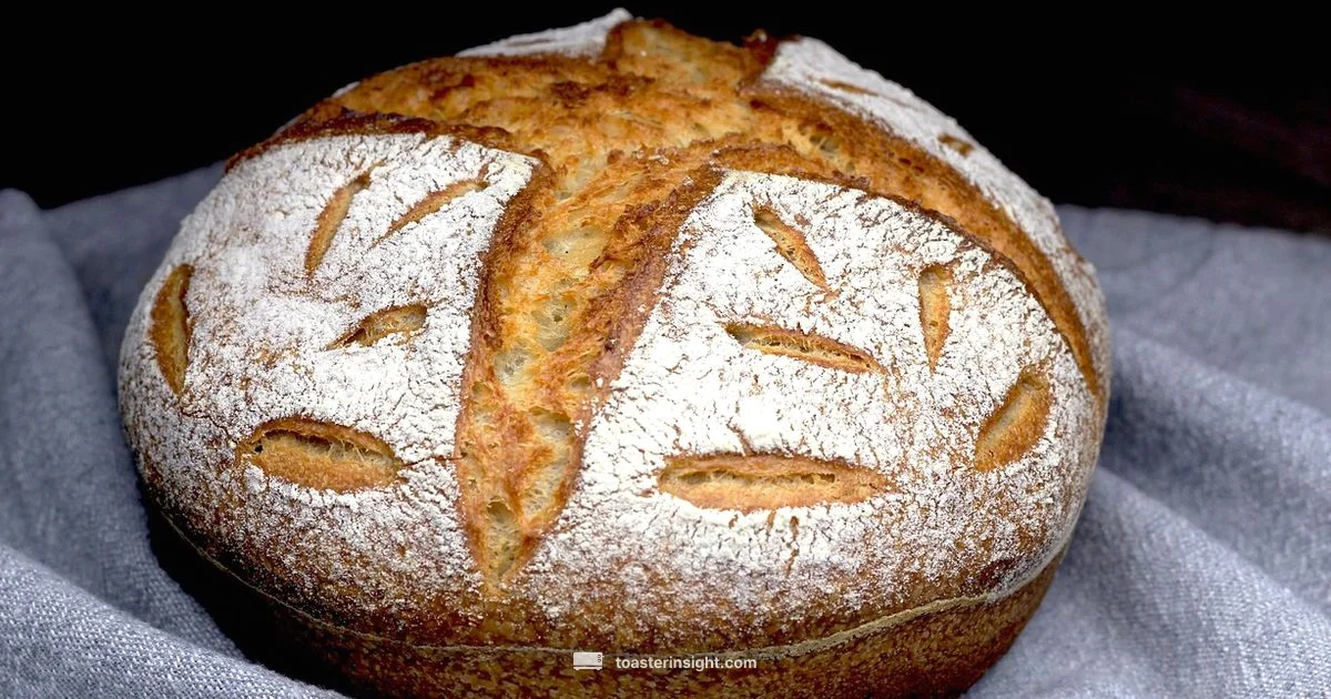 Sourdough Toaster Showdown - ToasterInsight