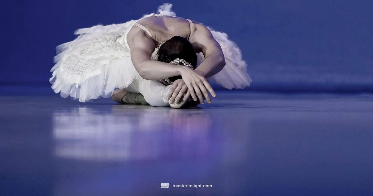 Ballerina Kitchen Pair - ToasterInsight