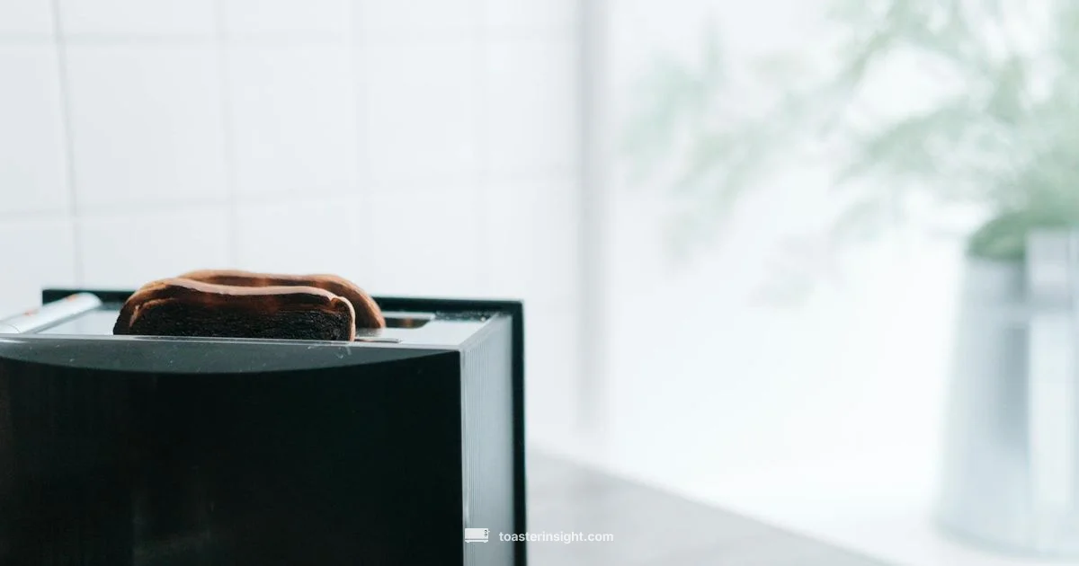 Toaster Arena Guide Toaster Arena Guide - ToasterInsight