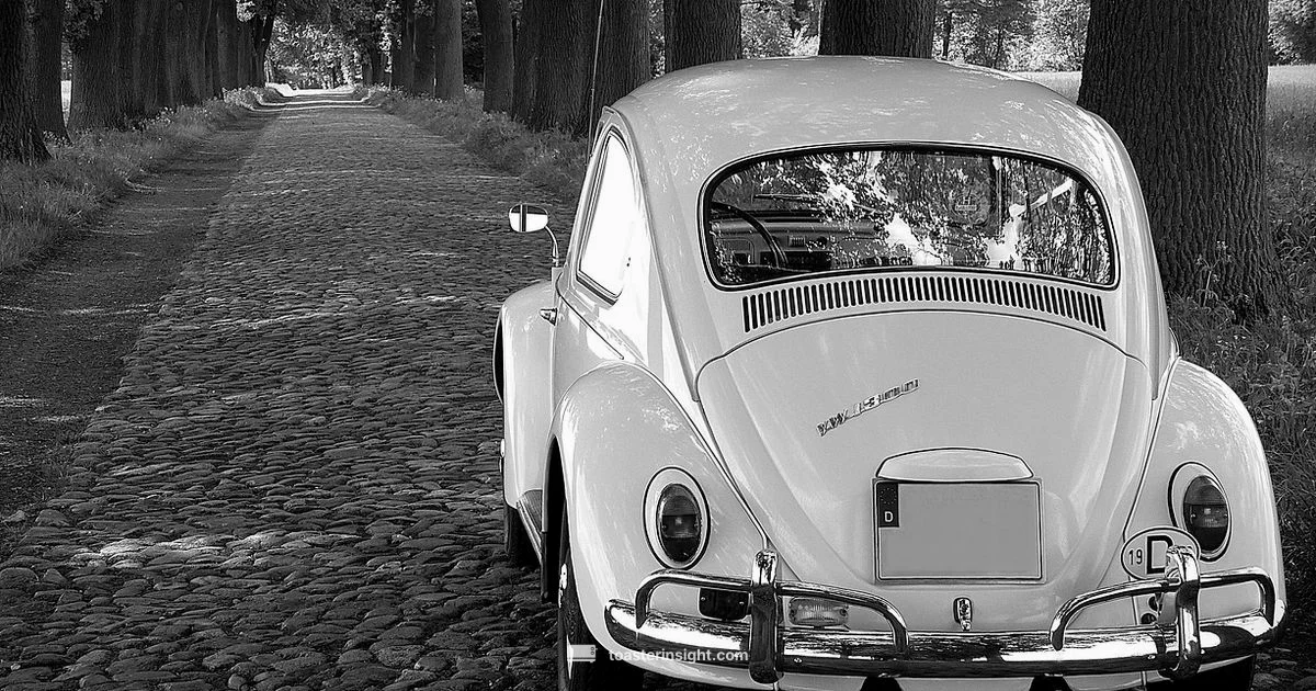 VW Toaster Guide - ToasterInsight