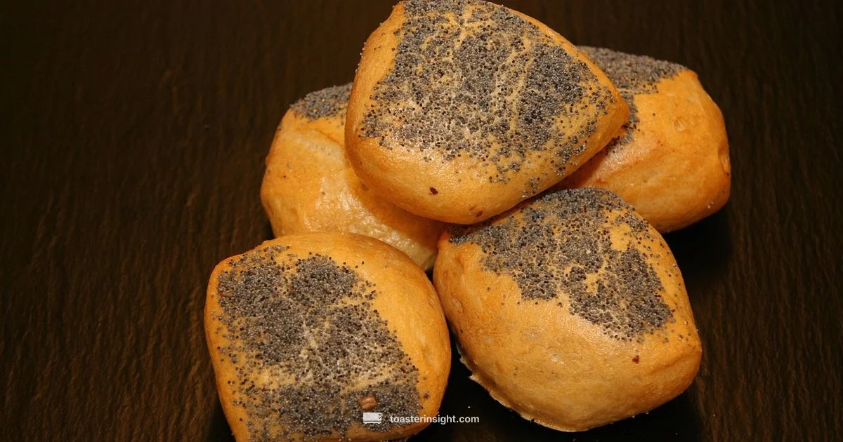 Toaster Crumbs Clean Toaster Crumbs Clean - ToasterInsight