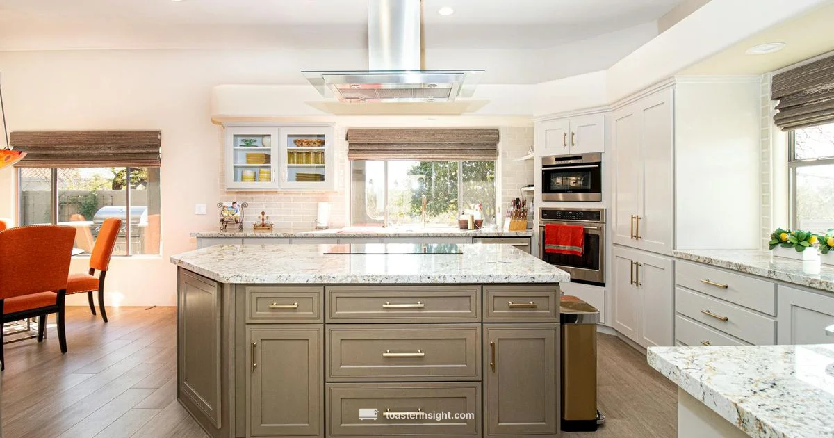 Oster Toaster Oven Guide - ToasterInsight