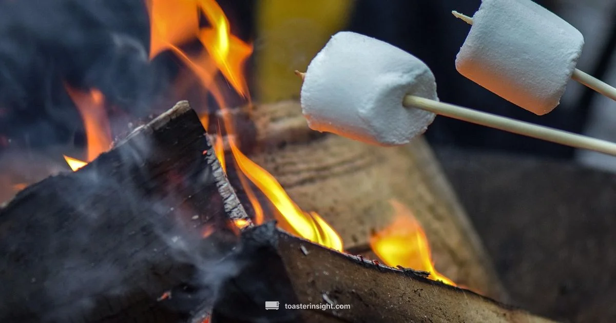 Indoor Marshmallow Toasting Indoor Marshmallow Toasting - ToasterInsight