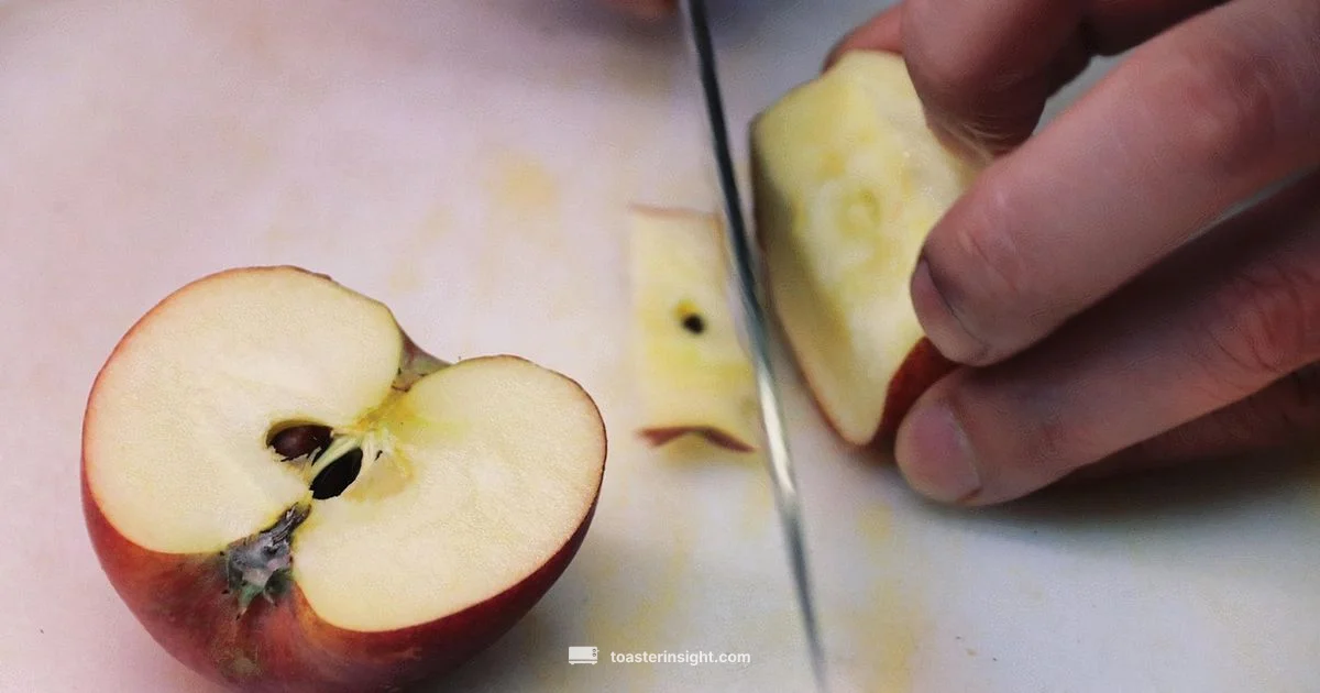 Wolf 4 Slice Overview Wolf 4 Slice Overview - ToasterInsight