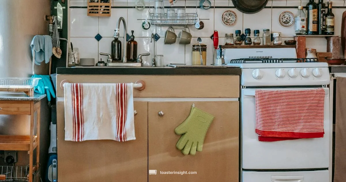 Toast vs Broil Guide - ToasterInsight