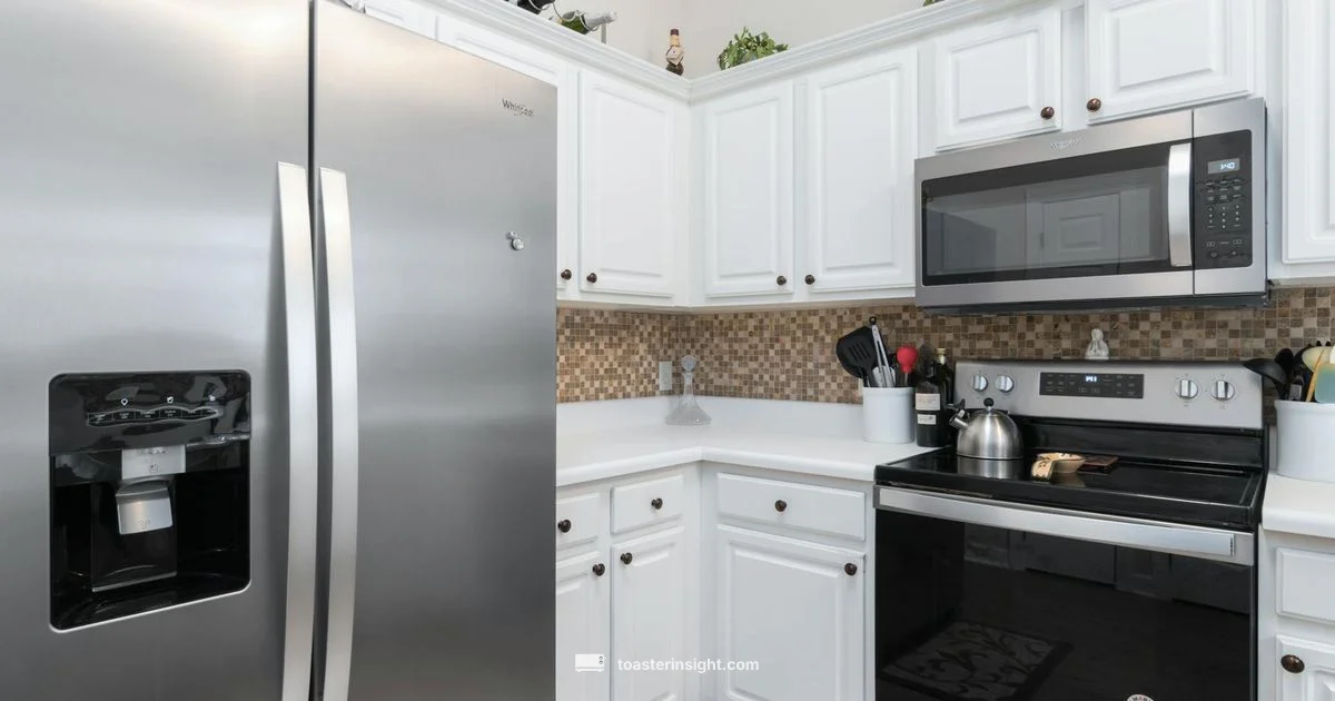 Small but mighty - ToasterInsight