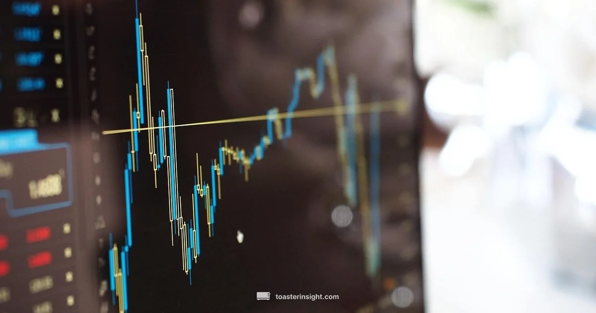 Toast Health Guide Toast Health Guide - ToasterInsight